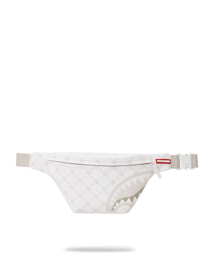 MONEY PATTERN POWDER SAVVY CROSSBODY