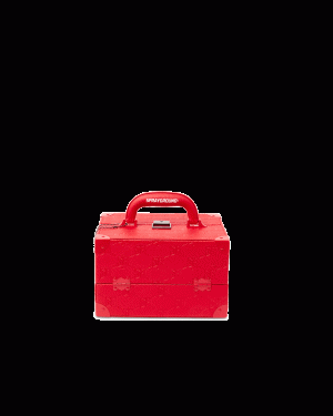 SOULJA BOY JEWELRY CASE