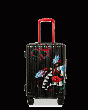 JARDIN DEDEN HARDSHELL CARRY-ON LUGGAGE