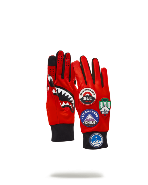 THE GLOBAL EXPEDITION GLOVES