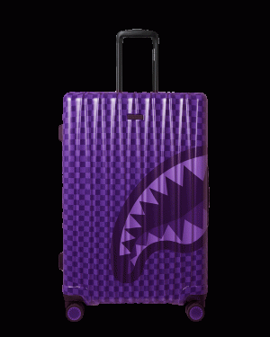 ALL SYSTEMS GO FULL-SIZE LUGGAGE